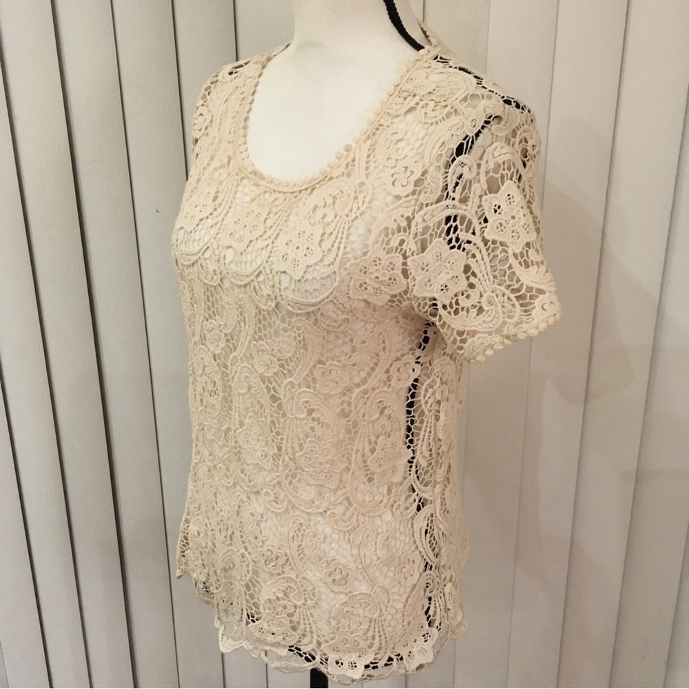 Joie creme, short sleeve lace top hundred percent cotton